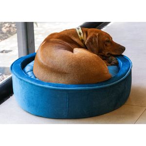 CAMA PARA MASCOTAS IBG MEDIANA REDONDA VERDE TURQUESA